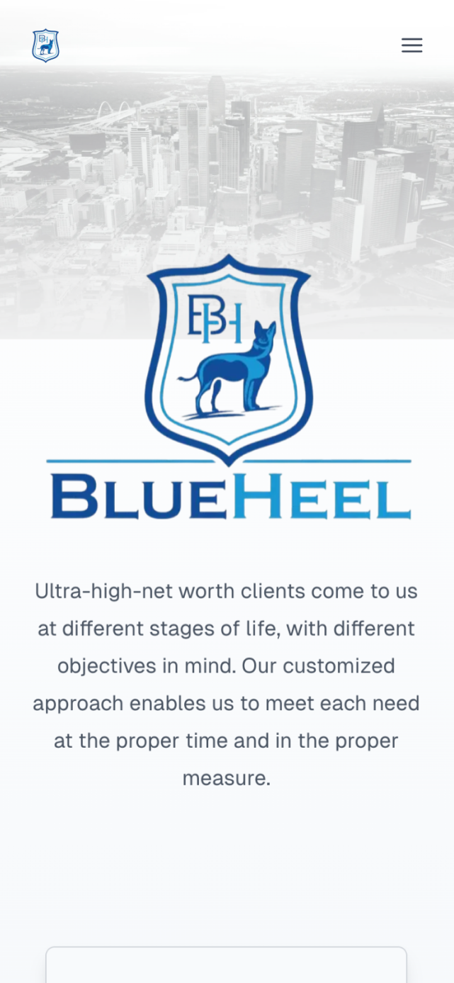 BlueHeel mobile landing page homepage demonstrating responsive startup website design