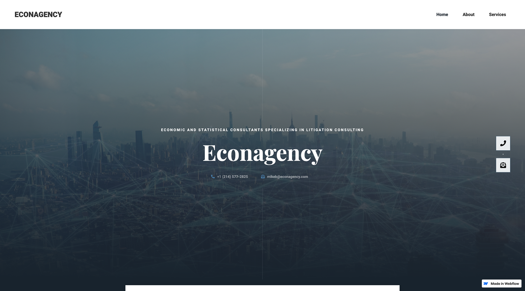EconAgency homepage for economic and statistical litigation consulting services