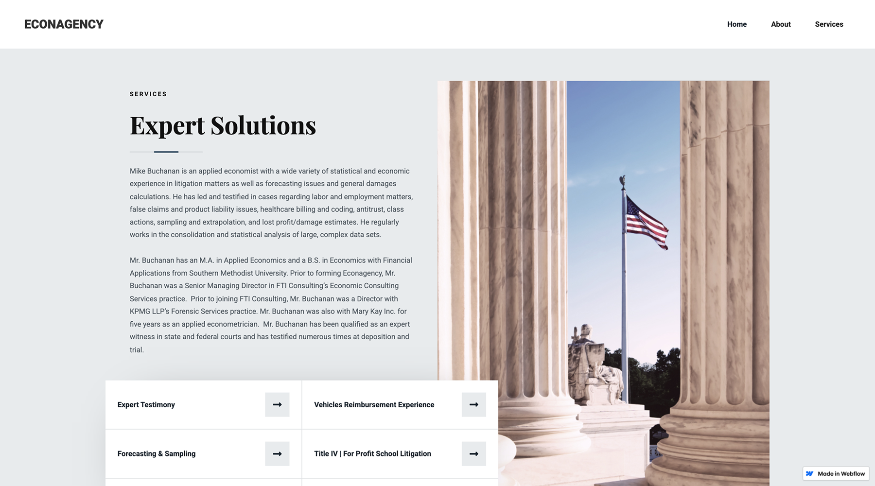 EconAgency consulting services section explaining economic analysis and expert testimony