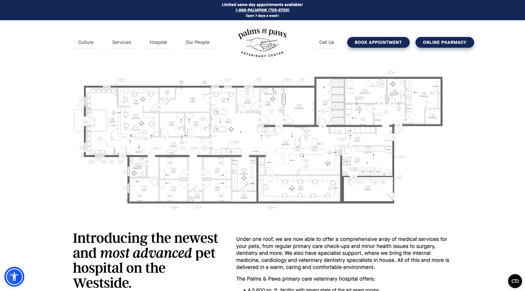 Palms & Paws Veterinary Center hospital services page displaying veterinary care information and clinic details