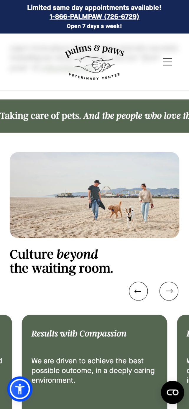 Responsive mobile section of the Palms & Paws Veterinary Center website showing modern veterinary UI design