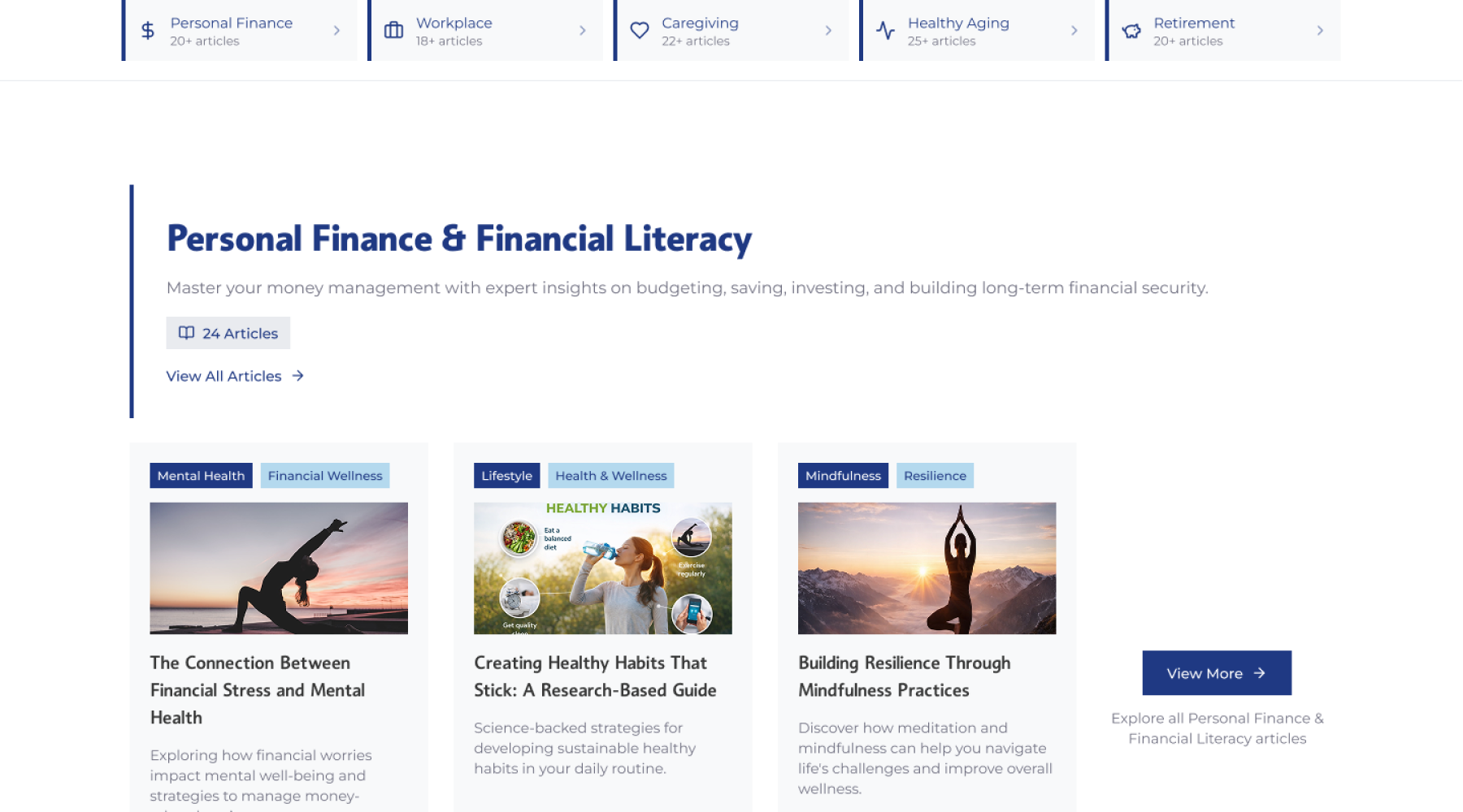 Transamerica Institute financial education categories section for navigating guides and resources